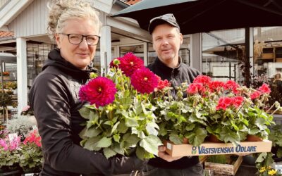 Öppettider Kristi Himmelsfärd