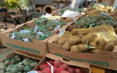 Nu kickar vi igång odlarsäsongen